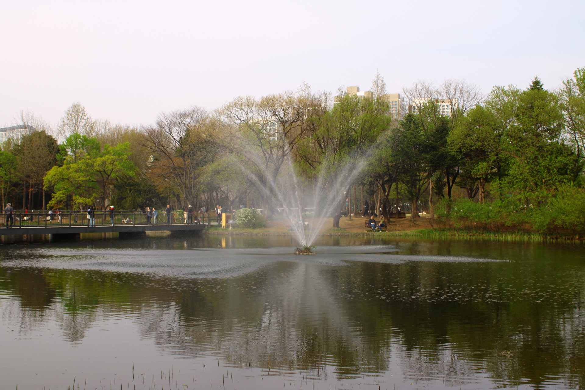 Fountain at the Park